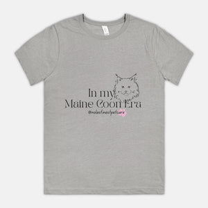 My Maine Coon Era