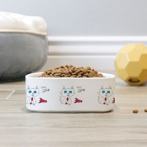 Let the good times roll Cat bowl