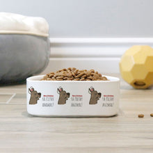 Load image into Gallery viewer, Ya Filthy Animal Pet Bowl set